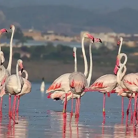 El Acequion 4 Personnes A 100m * טורבייחה