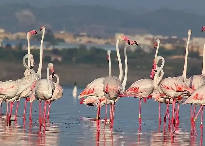 El Acequion 4 Personnes A 100m * Torrevieja